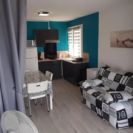 Plage 1, T2 En Front De Mer Avec Parking * Agde